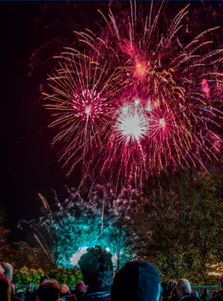Fireworks lighting up the sky above a crowd